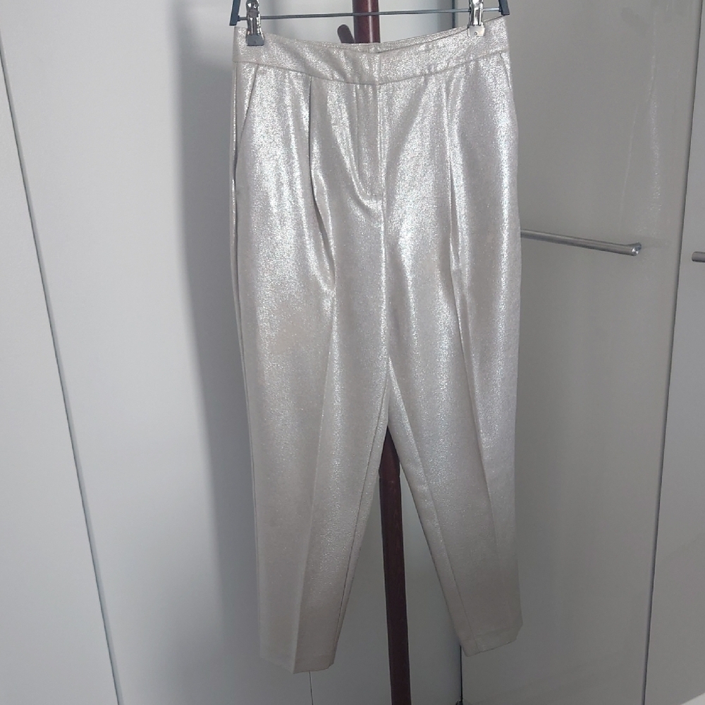 Zara Shimmering Silver Pants